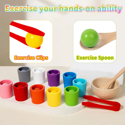 🔥Rainbow Balls in Cups Toddler Toys - Safe Size & Non-toxic Materials