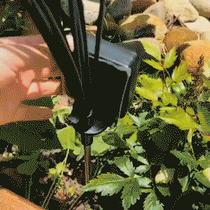 🔥Solar Powered Firefly Garden Light