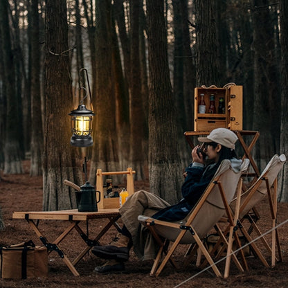🔥2023 New Year's Promotion-Portable Retro Camping Lamp🔥🔥Buy 2 Get Extra 47% OFF