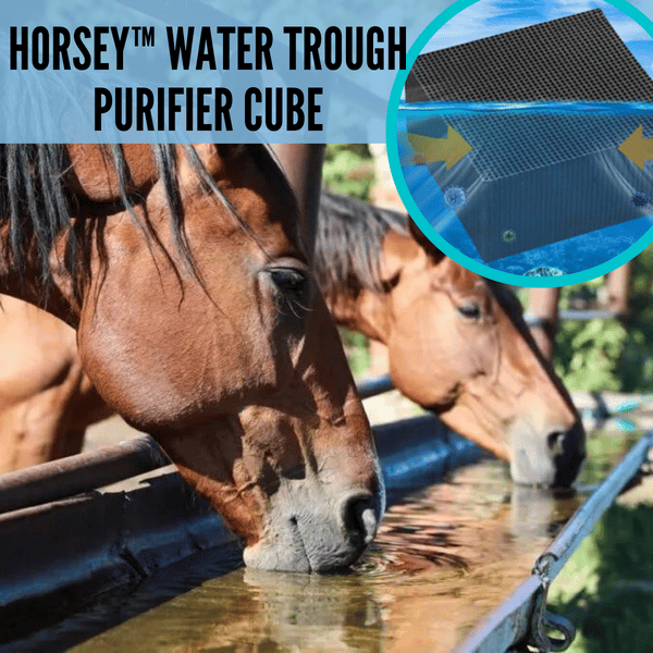 🔥  48% OFF 🔥 Livestock Water Trough Purifier - Buy 2 Free Shipping
