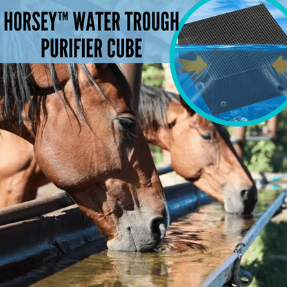 🔥  48% OFF 🔥 Livestock Water Trough Purifier - Buy 2 Free Shipping