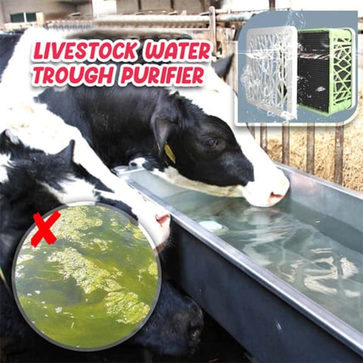 🔥  48% OFF 🔥 Livestock Water Trough Purifier - Buy 2 Free Shipping