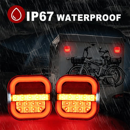 Car Tail lights(Right light)