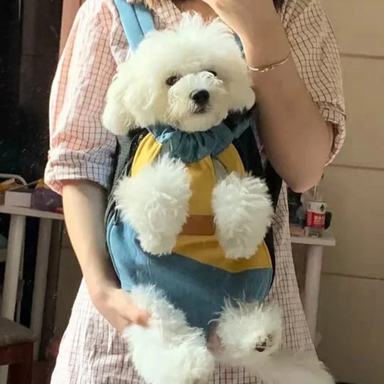 🔥BIG SALE - 44% OFF🔥🔥Pet Travel Leg-out Backpack🐶🐱